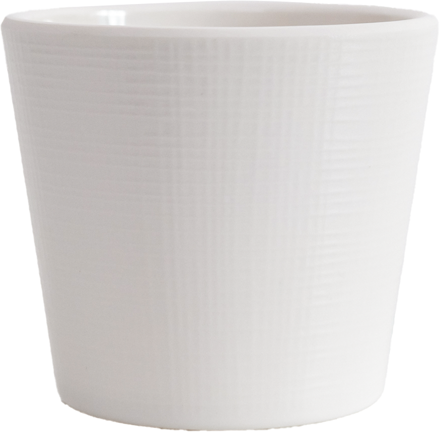 Matte Cup No.1