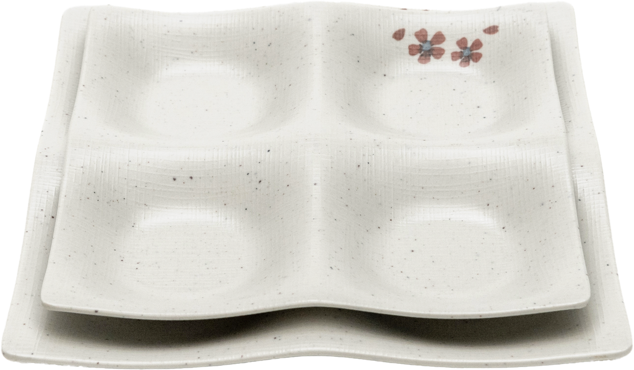 Matte 4-Divided Side Plate